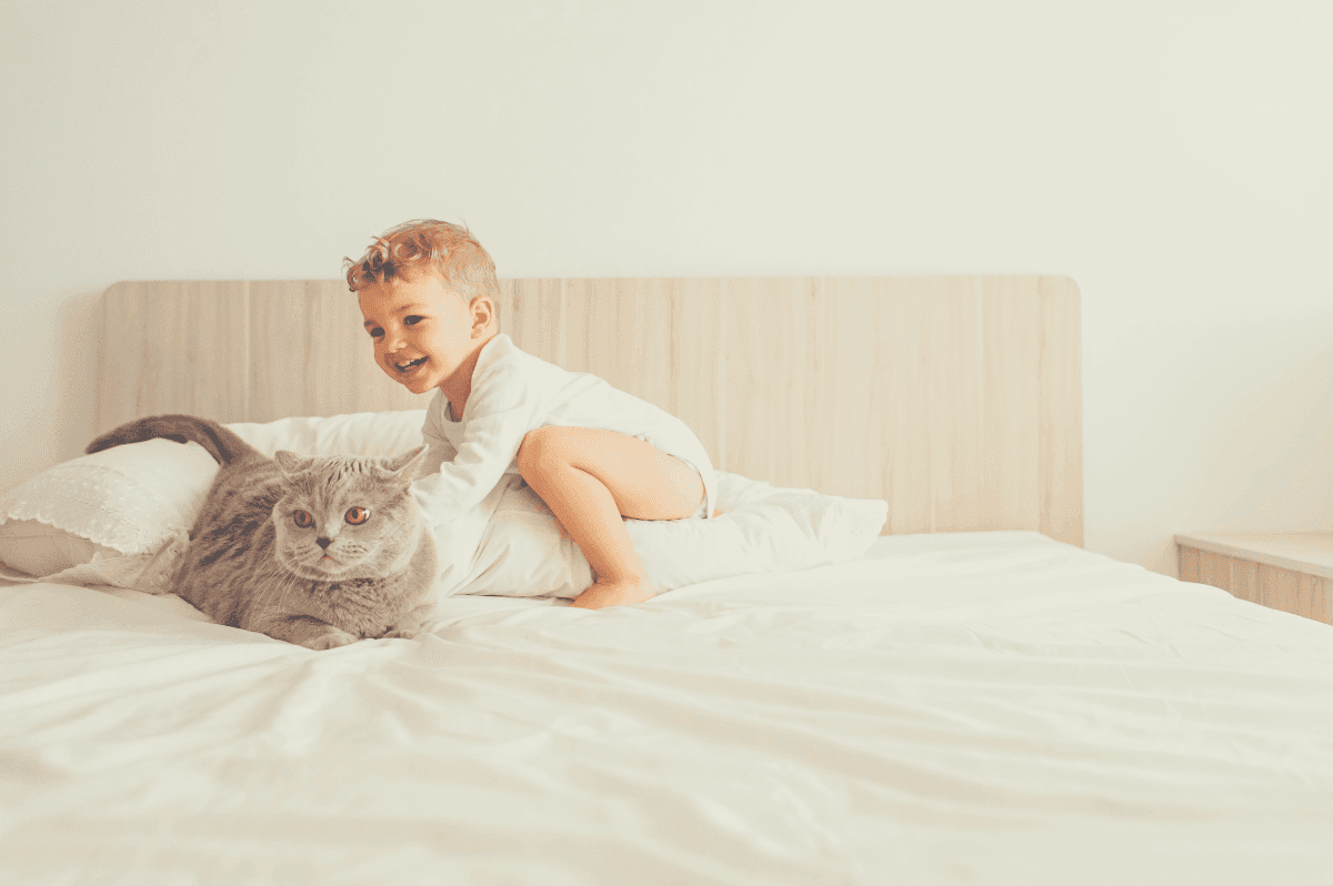 Best Twin Mattress For Toddlers [Complete Guide]