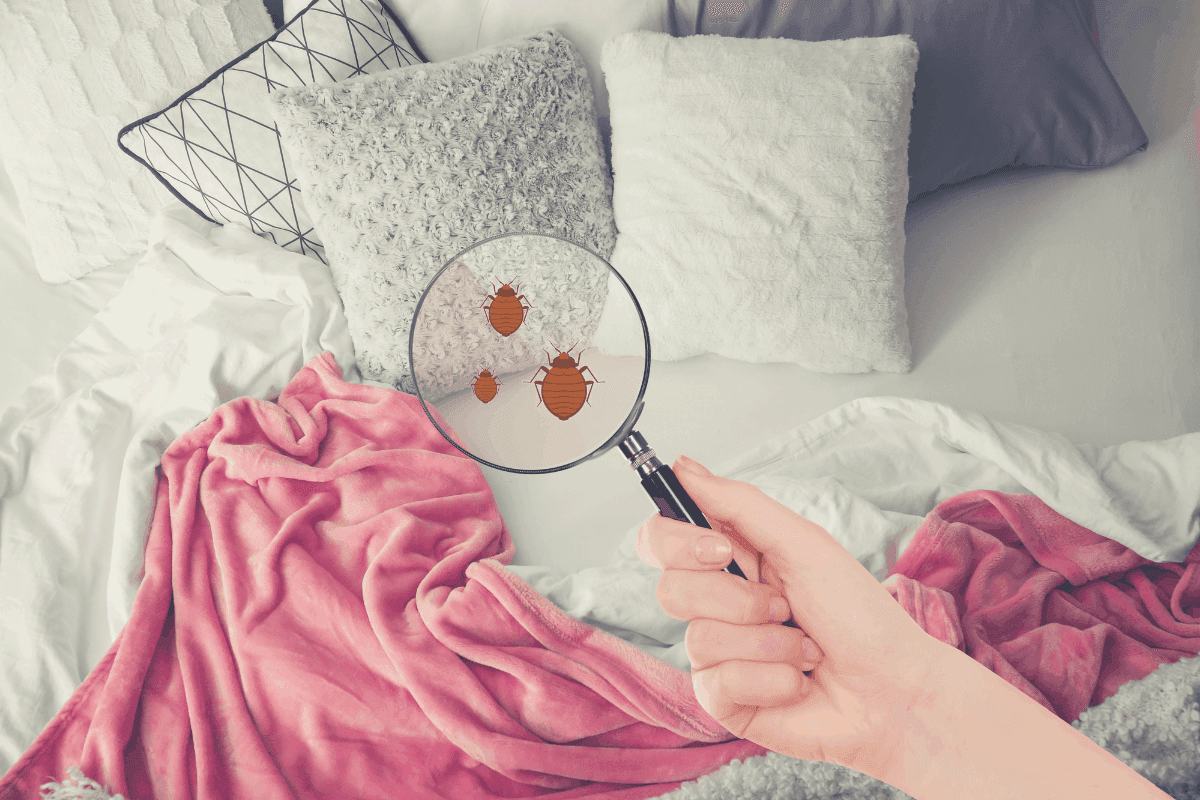 Can Bed Bugs Go Through A Plastic Mattress Cover?