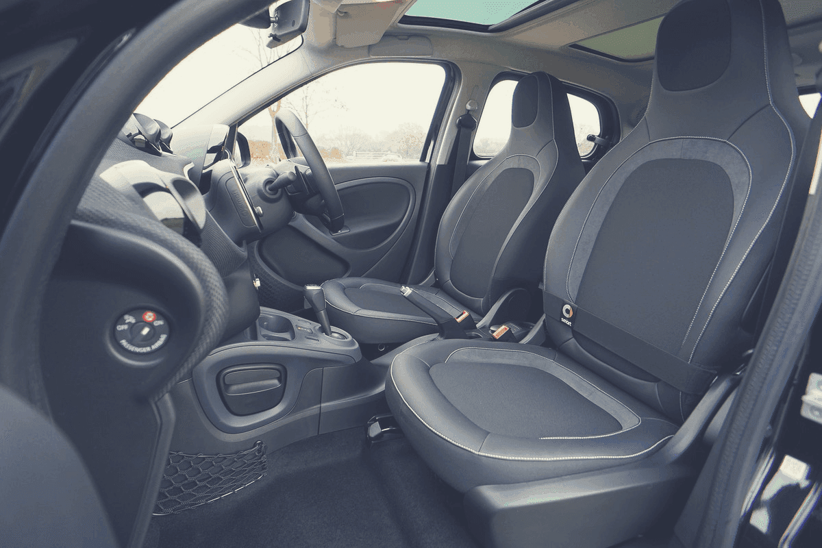Can Bed Bugs Live In Cars? [Guide on how to Get Rid of Them]
