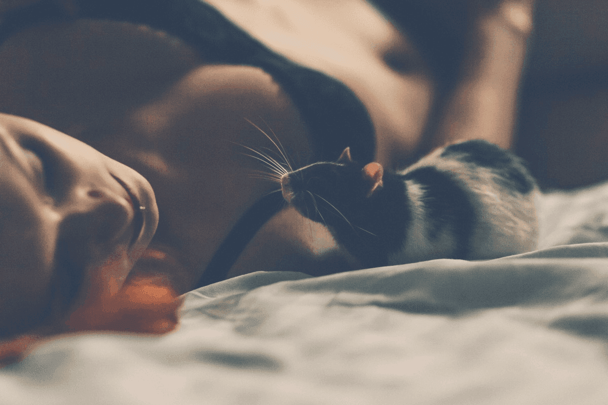 How To Keep Mice Away From Your Bed [Complete Guide]