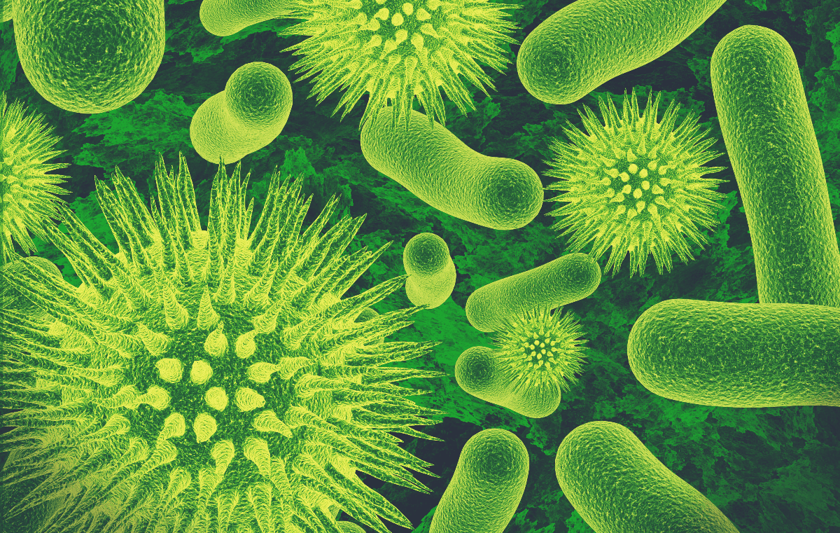 Bacteria and Dust Mites thrive on a mattress without bedsheets