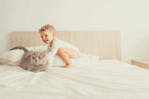 toddler playing with his cat on a twin bed with white sheets