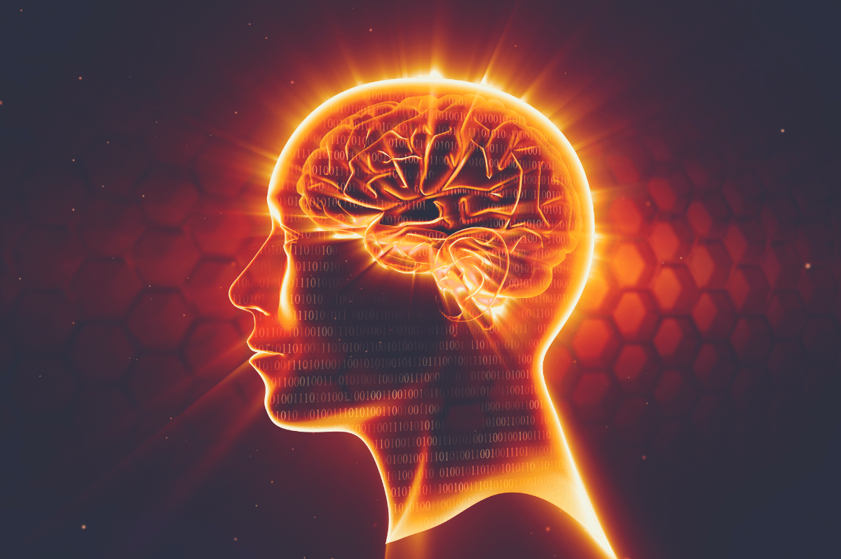 sleep vs meditation brainwaves