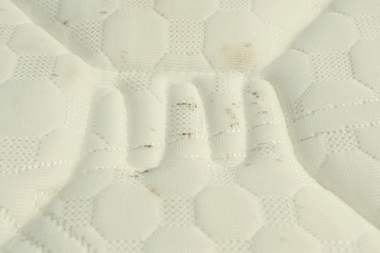 How to Prevent Mold Under Mattress The Complete Guide