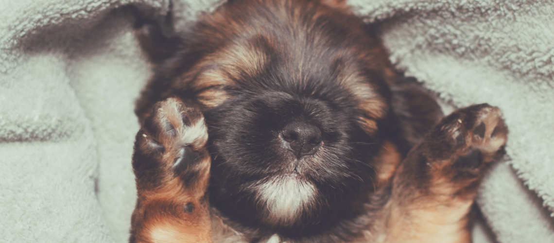 Why Do We Feel Safe Under a Blanket?